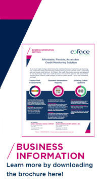 Business Information Brochure