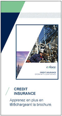 Credit Insurance Brochure