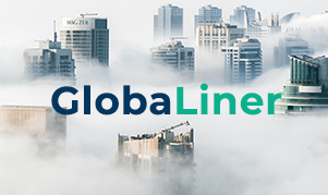 GlobaLiner: trade credit risk management for multinationals