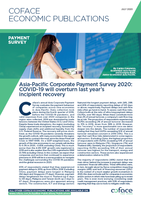 Asia Pacific corporate payment survey 2020