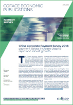 China corporate payment survey 2018
