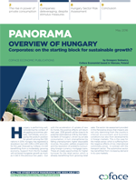Hungary Panorama
